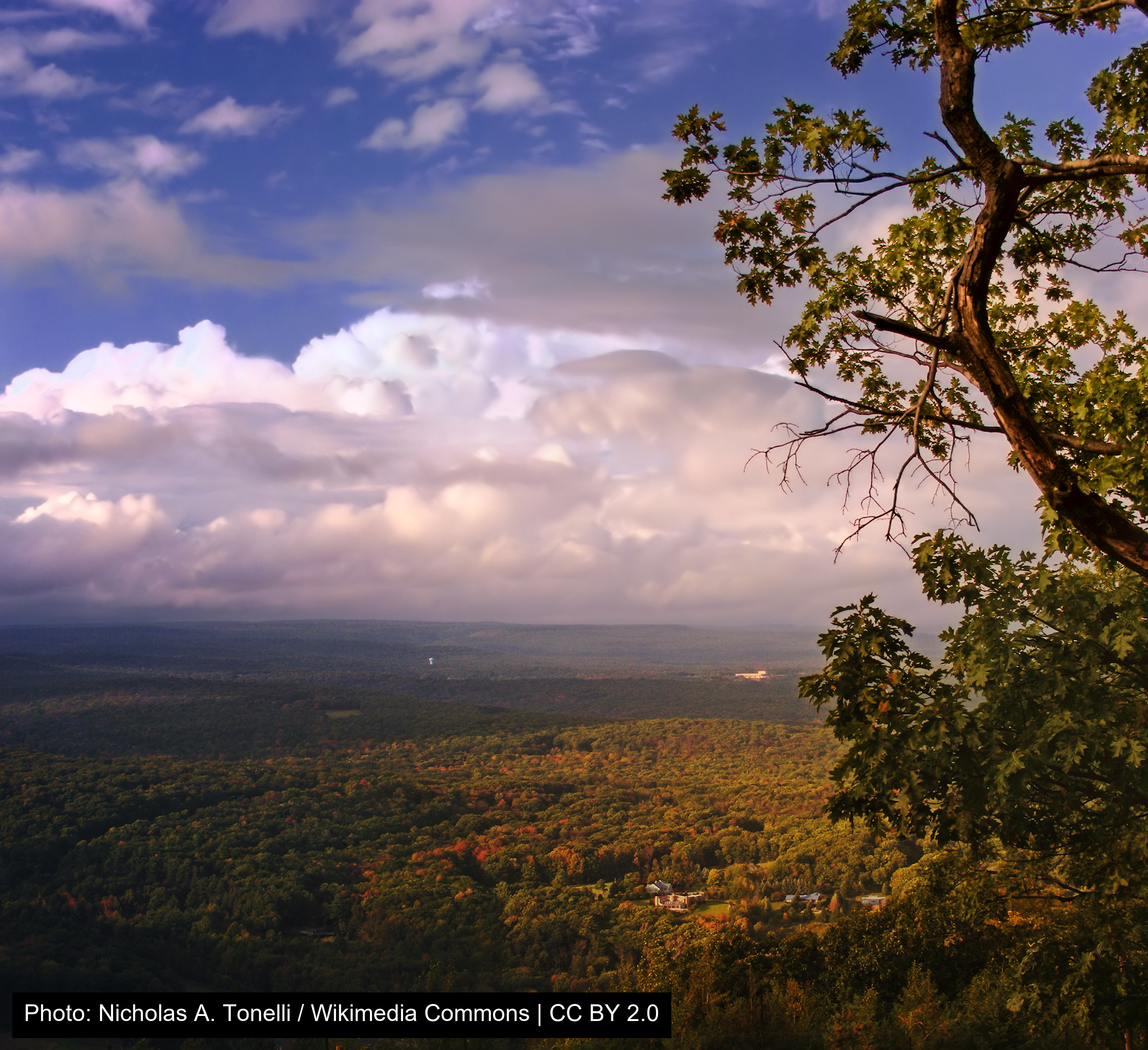 Big Pocono State Park