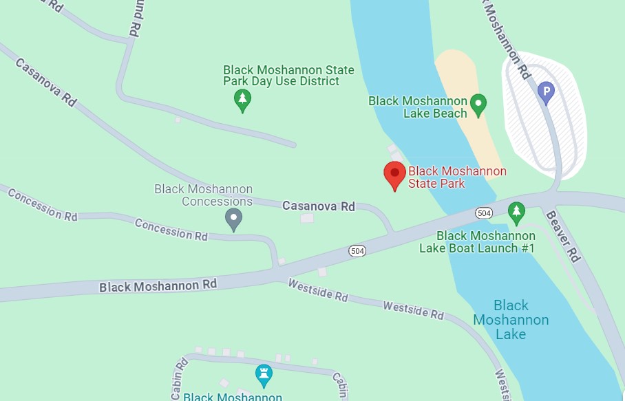 Black Moshannon State Park