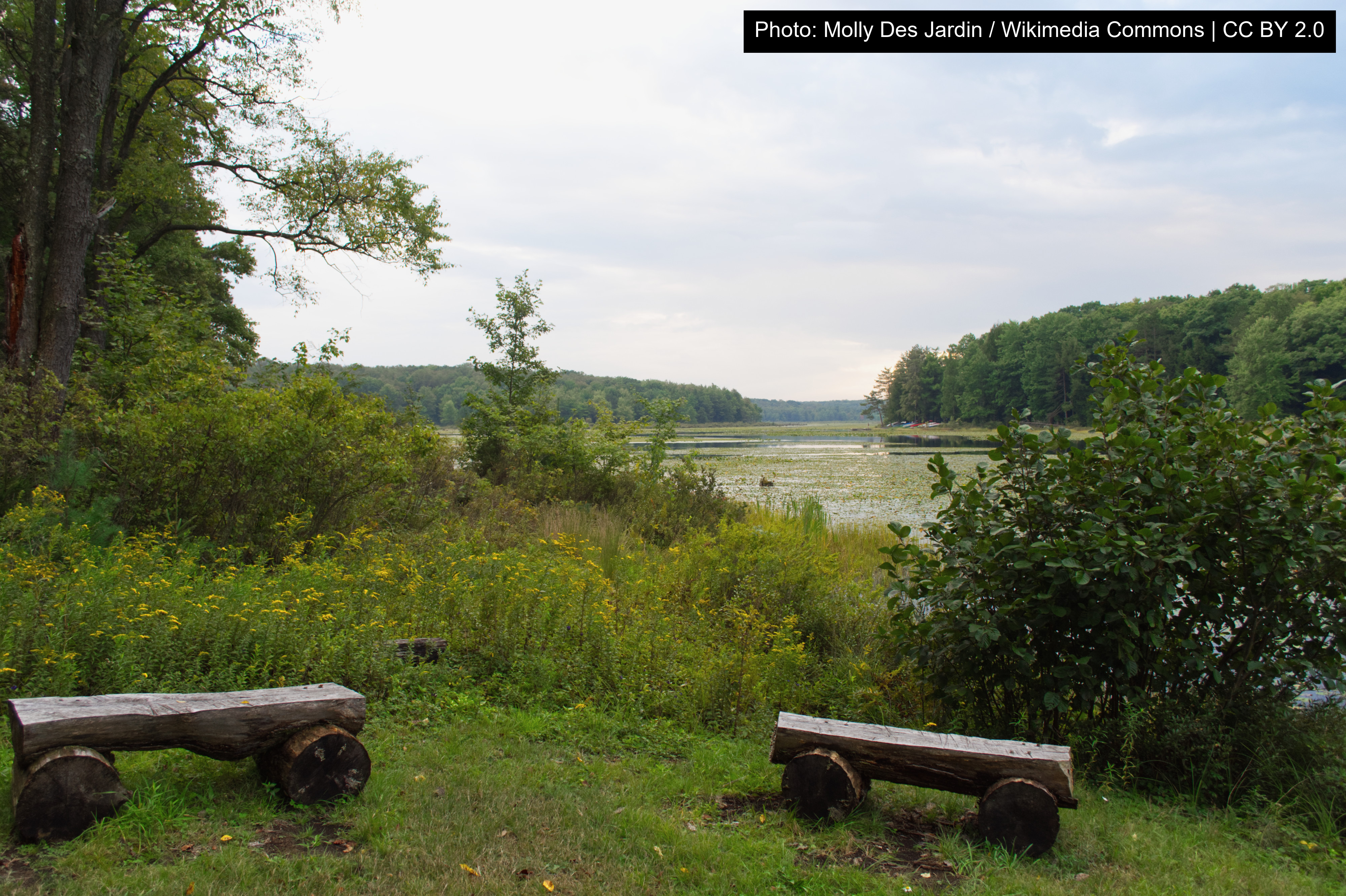 Black Moshannon State Park