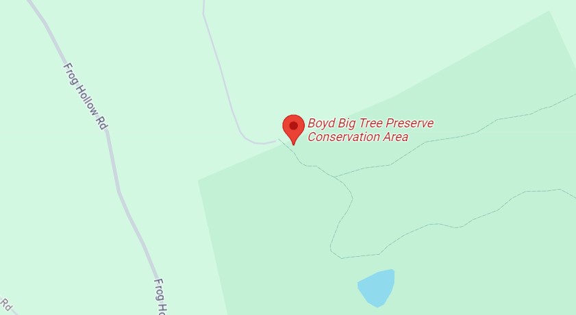 Boyd Big Tree Preserve Conservation Area