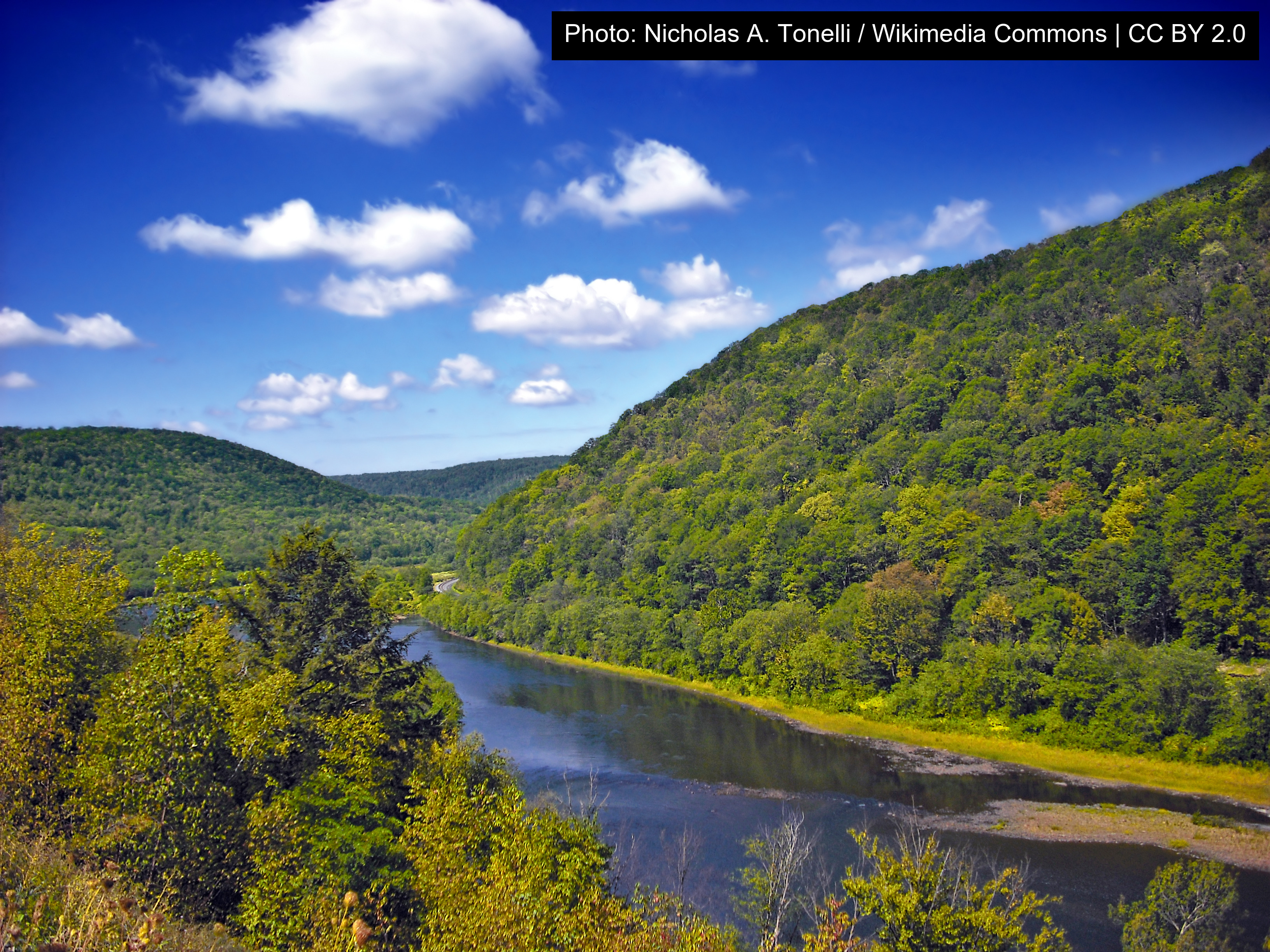 Bucktail State Park Natural Area