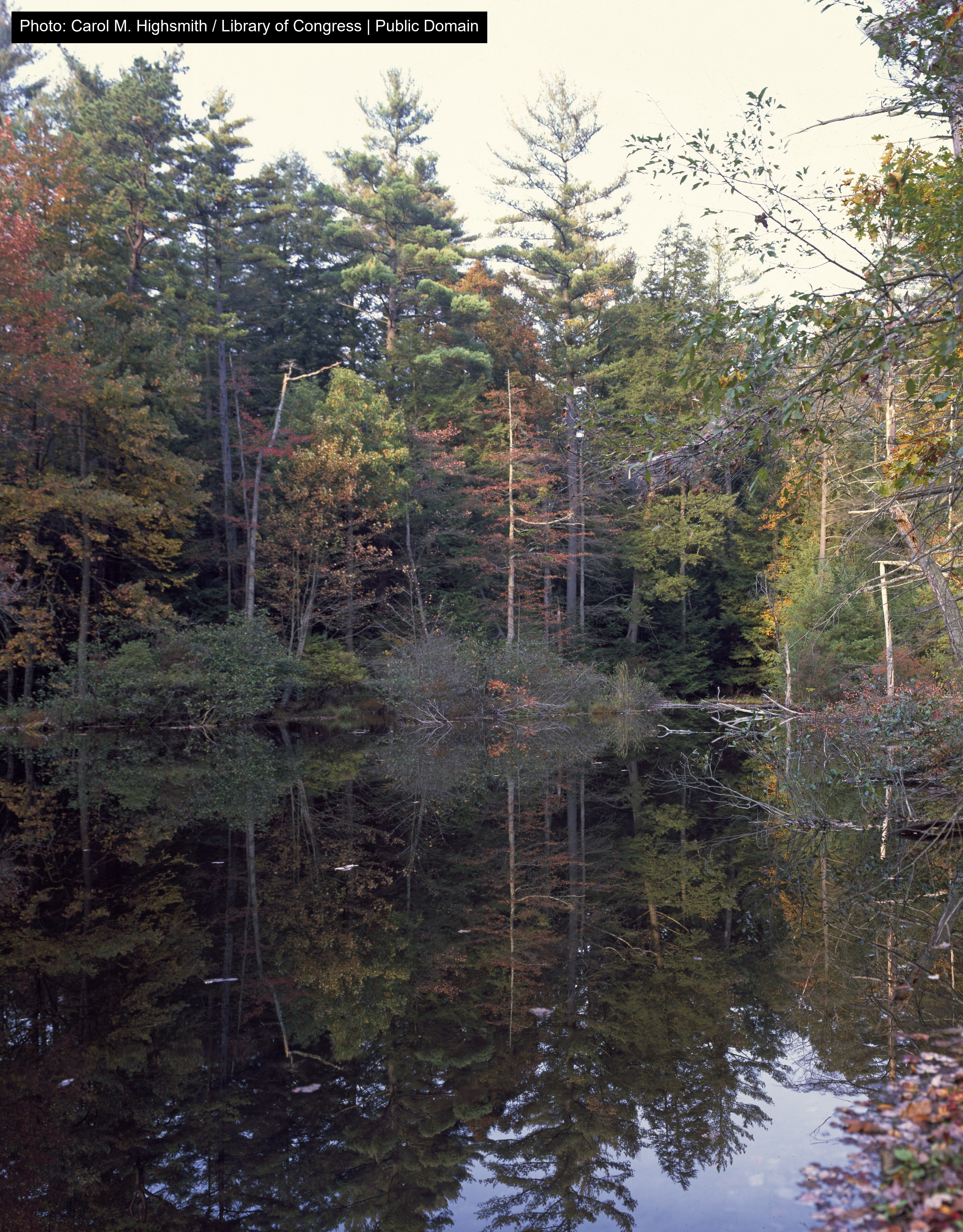 Caledonia State Park