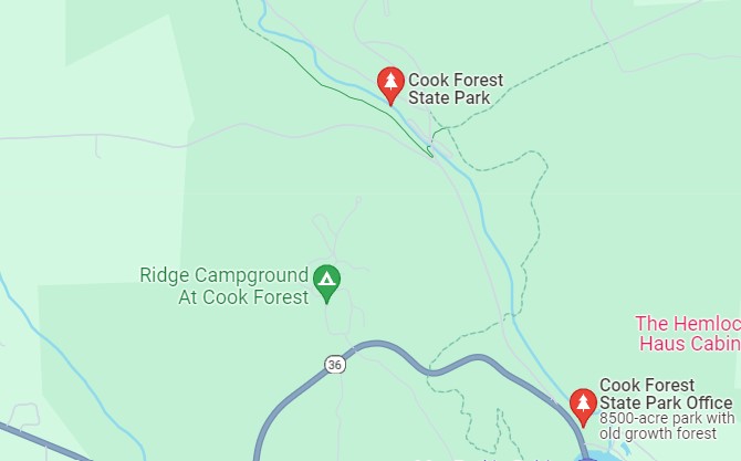 Cook Forest State Park