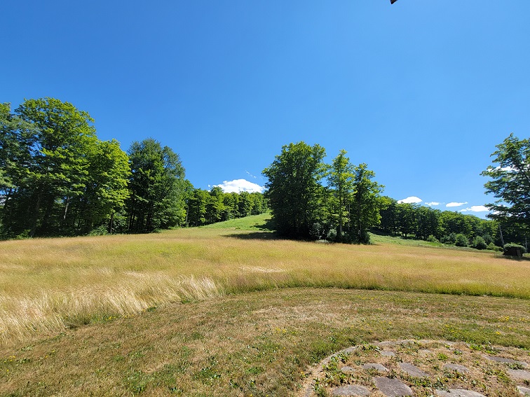 Denton Hill State Park
