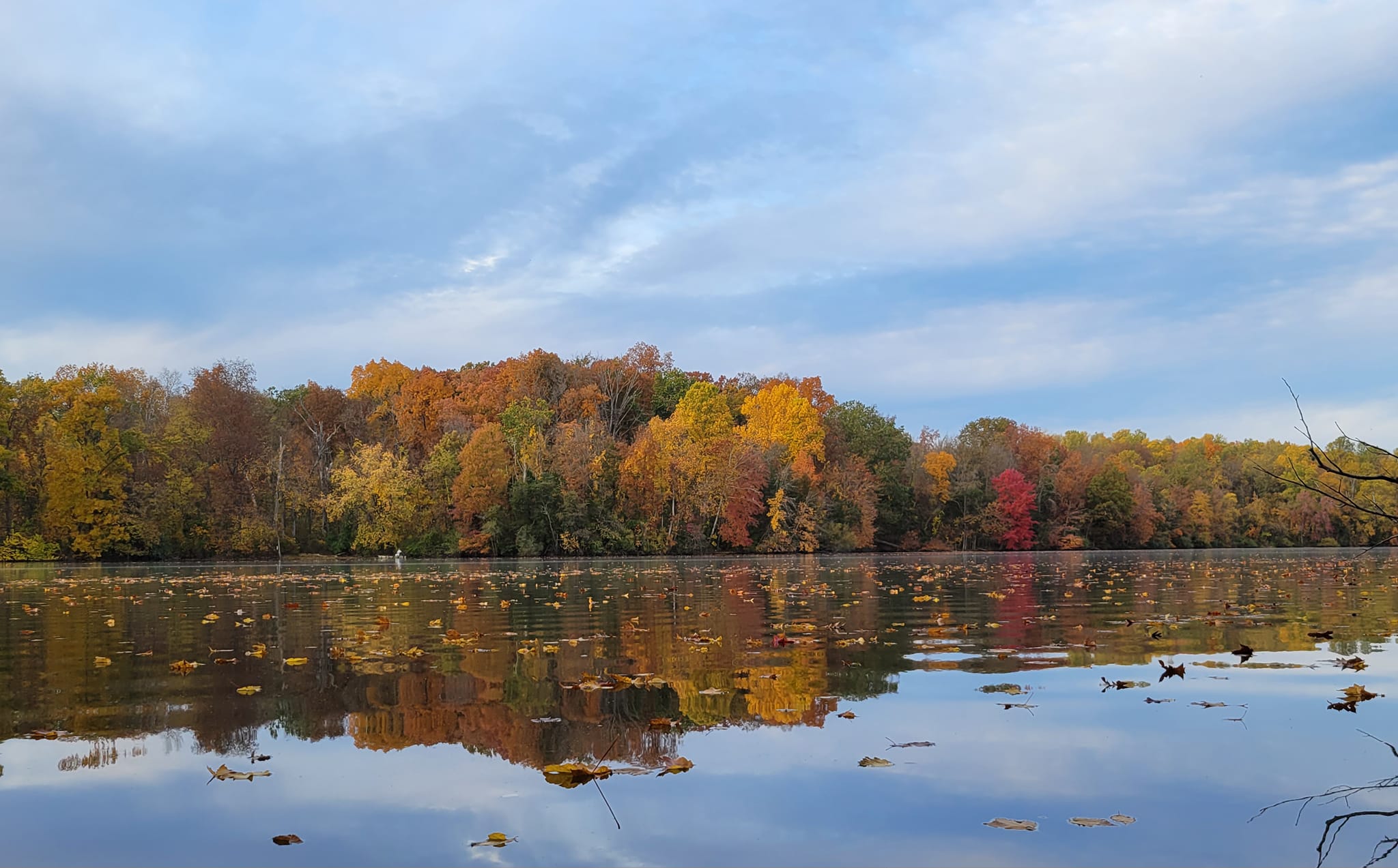 Gifford Pinchot State Park