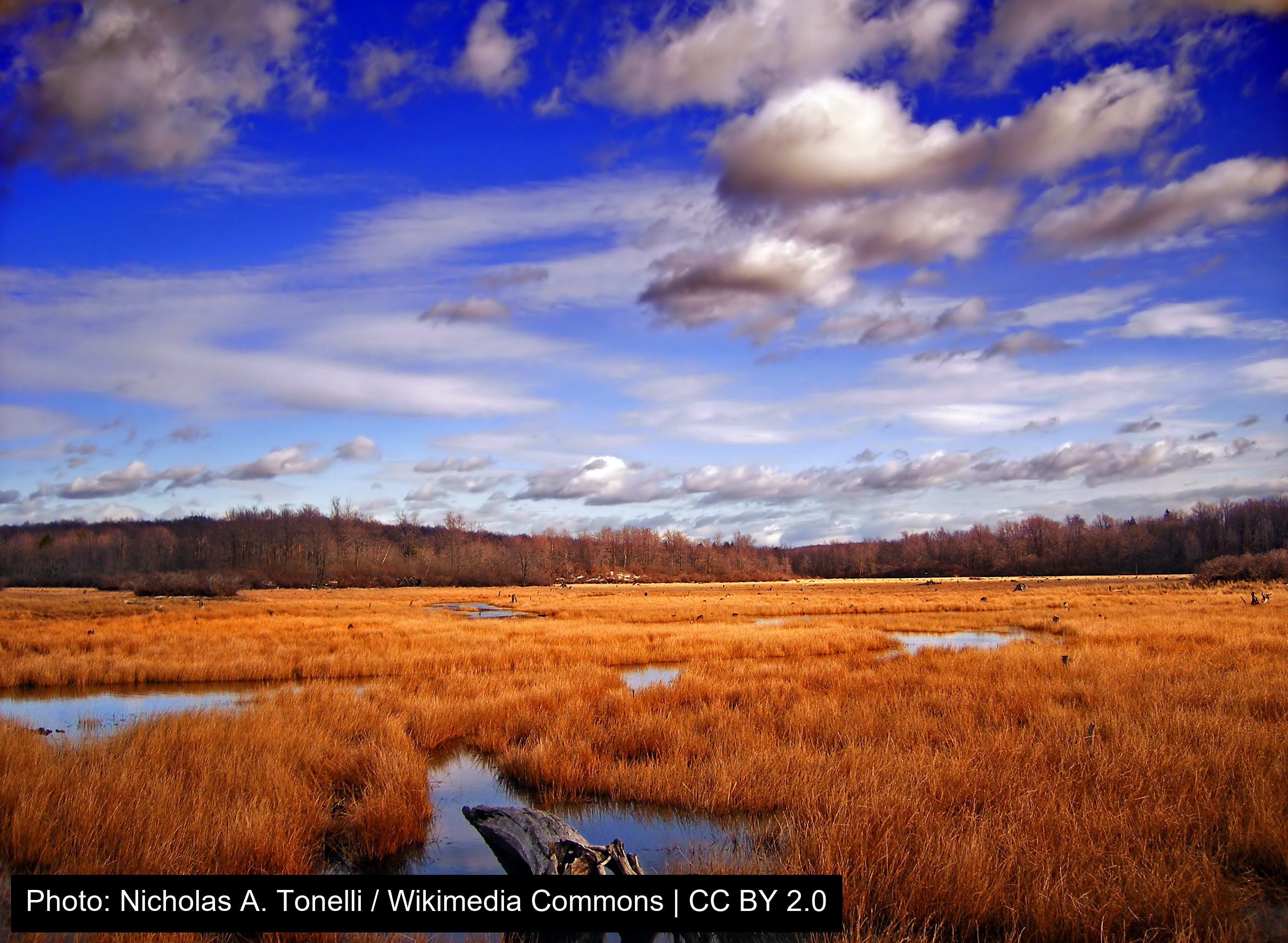 Gouldsboro State Park