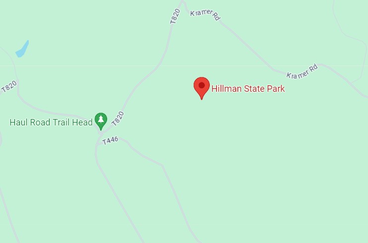 Hillman State Park