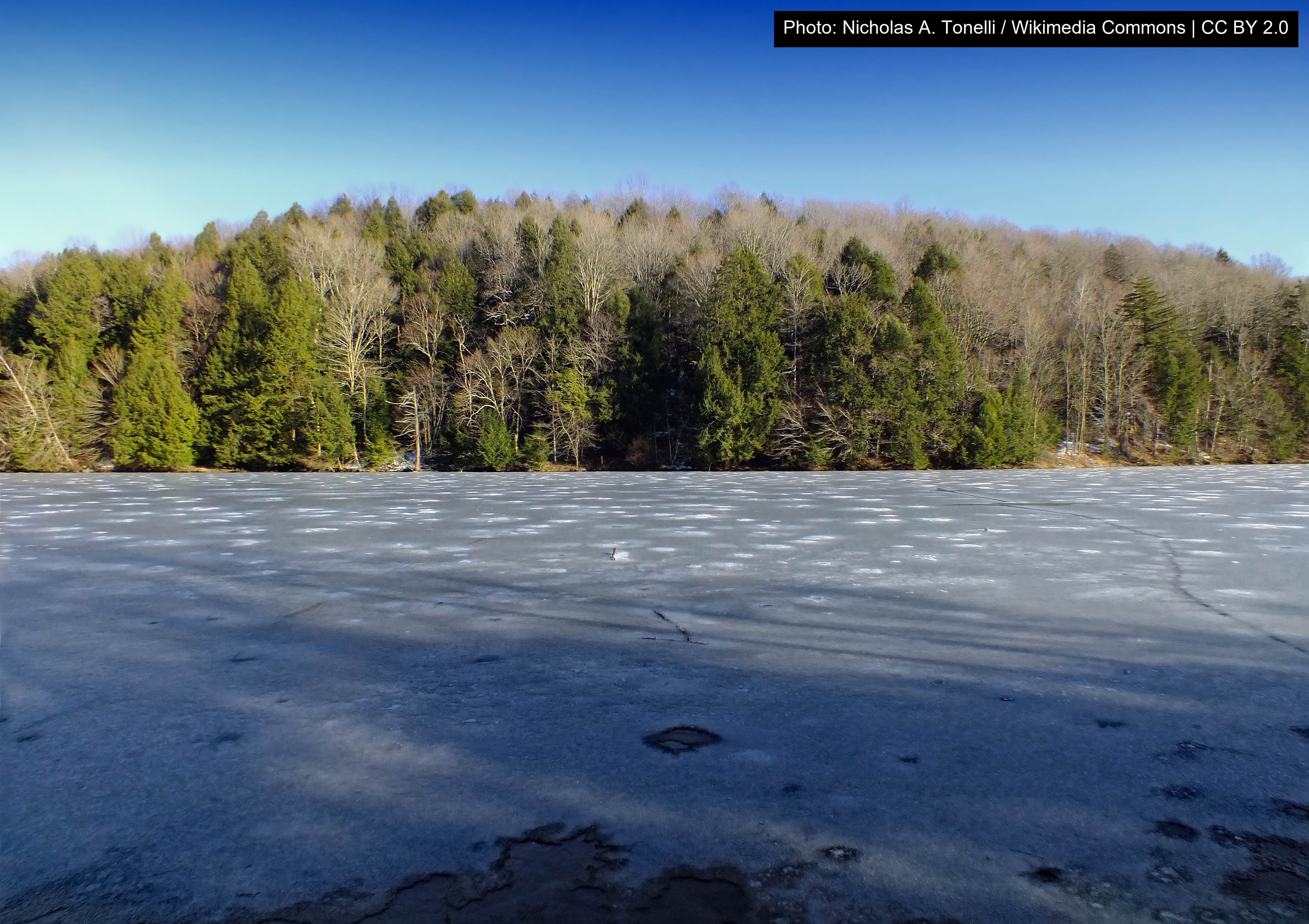Lackawanna State Park