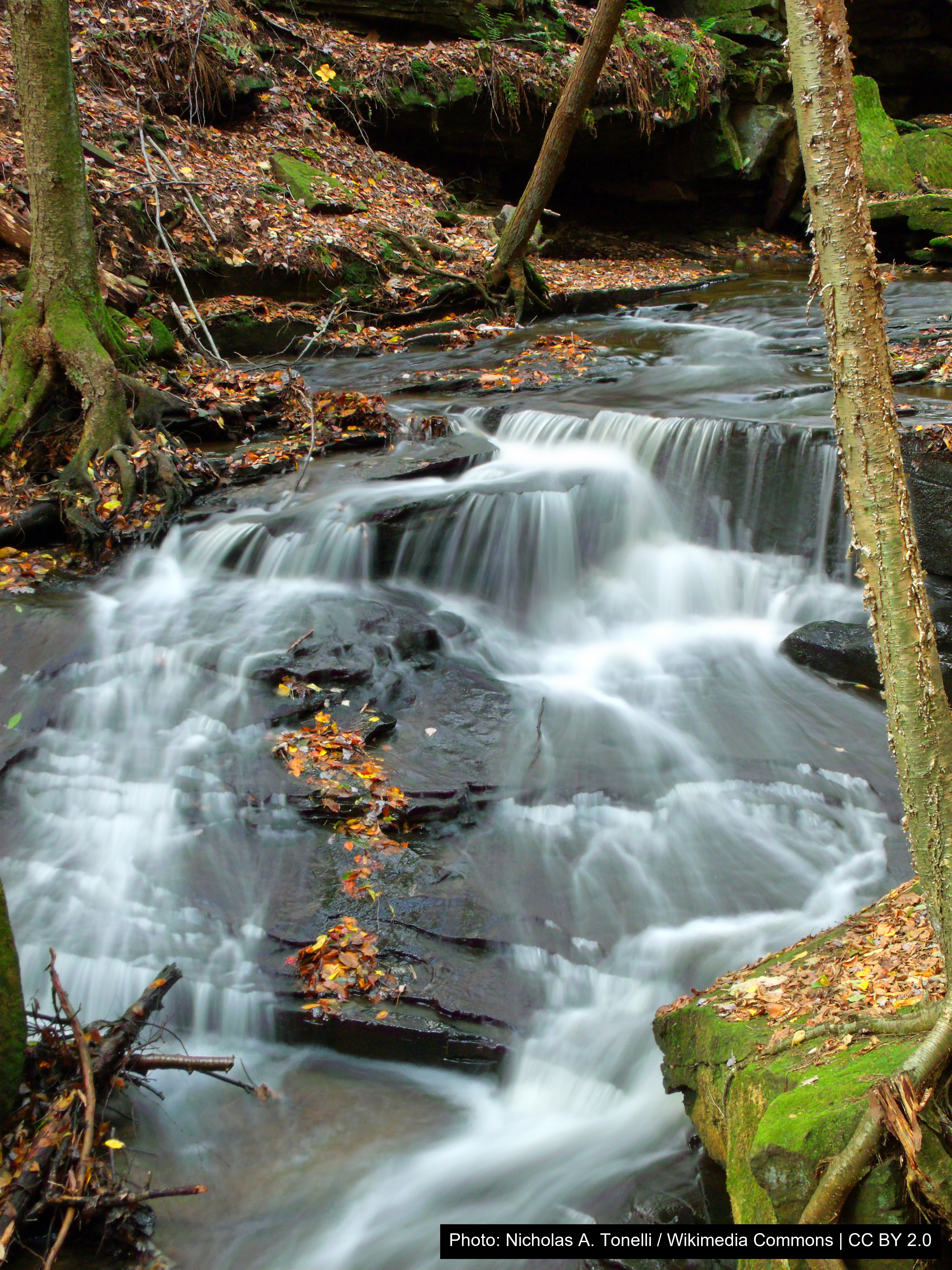 Maurice K. Goddard State Park