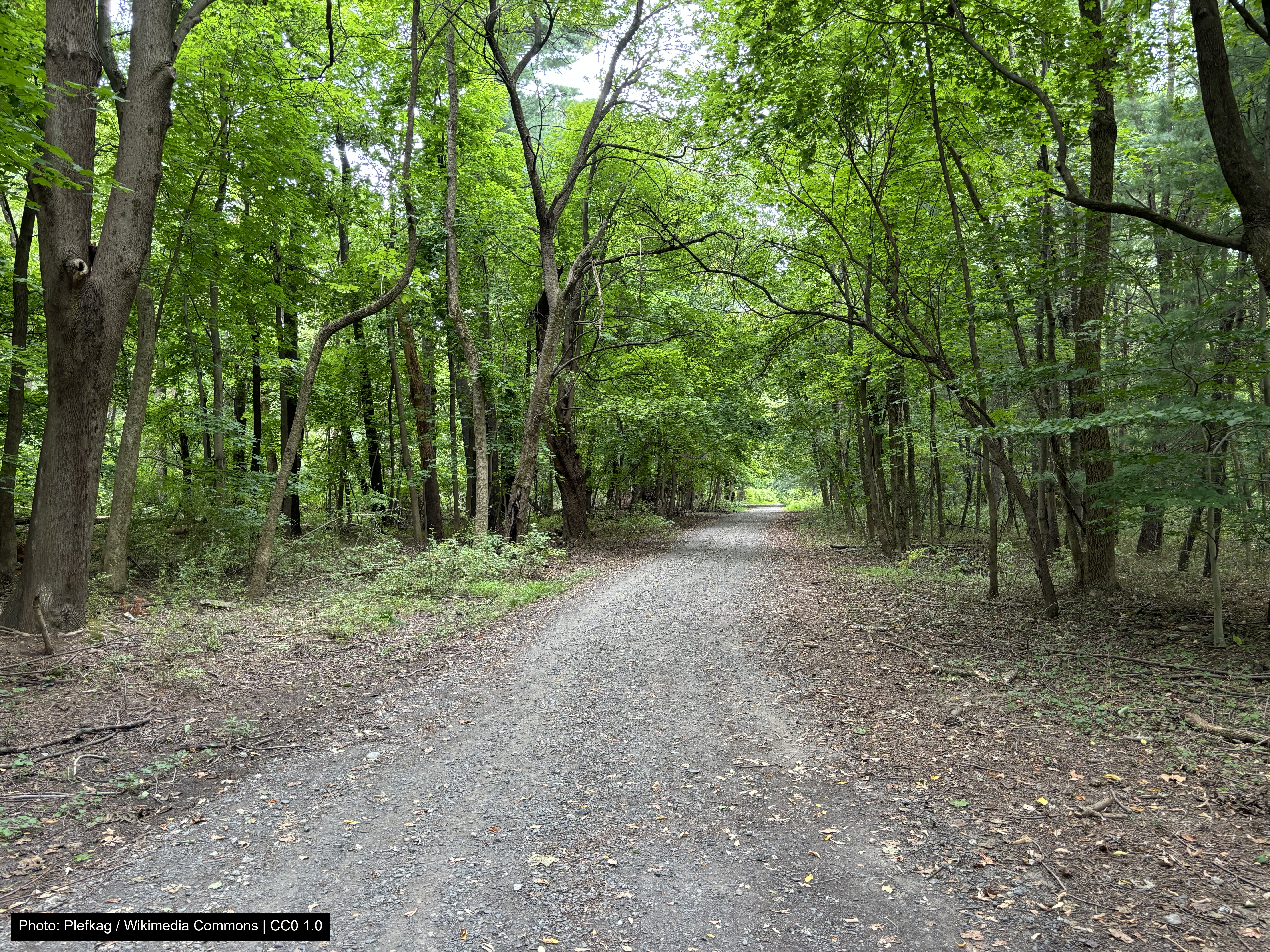Neshaminy State Park