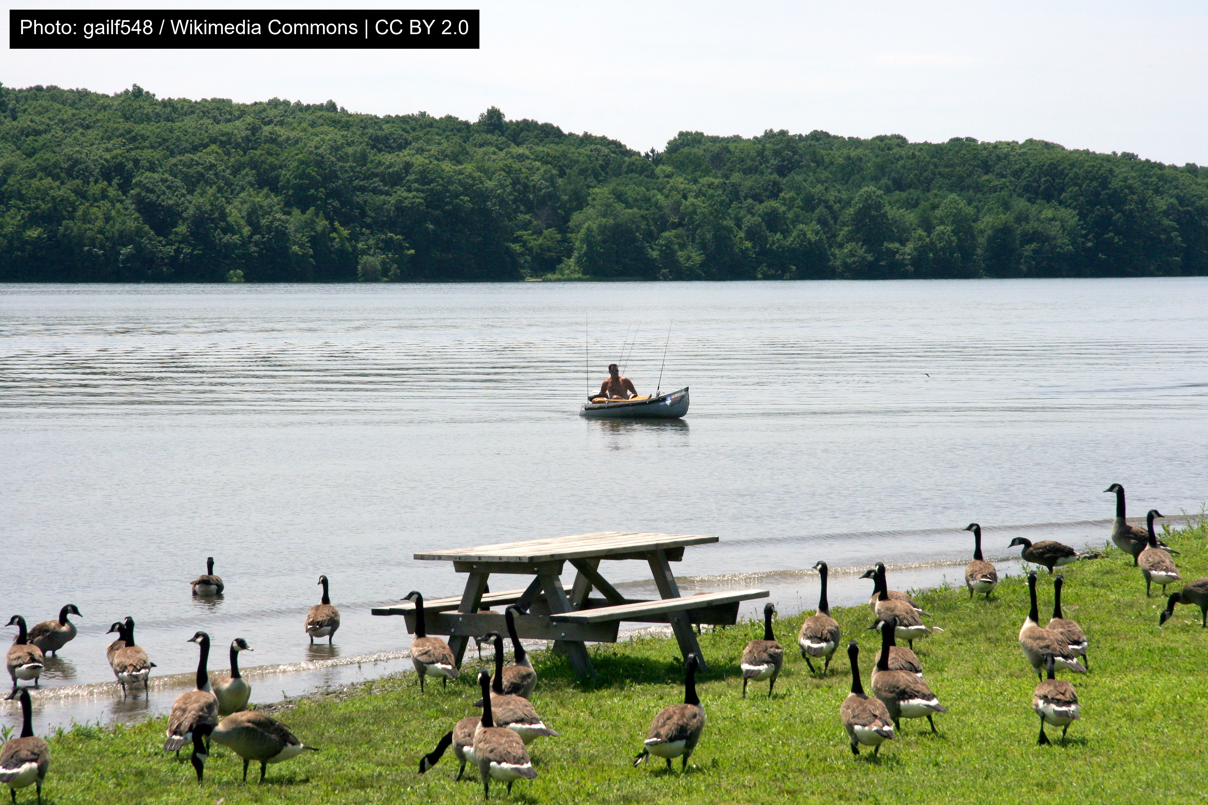 Nockamixon State Park