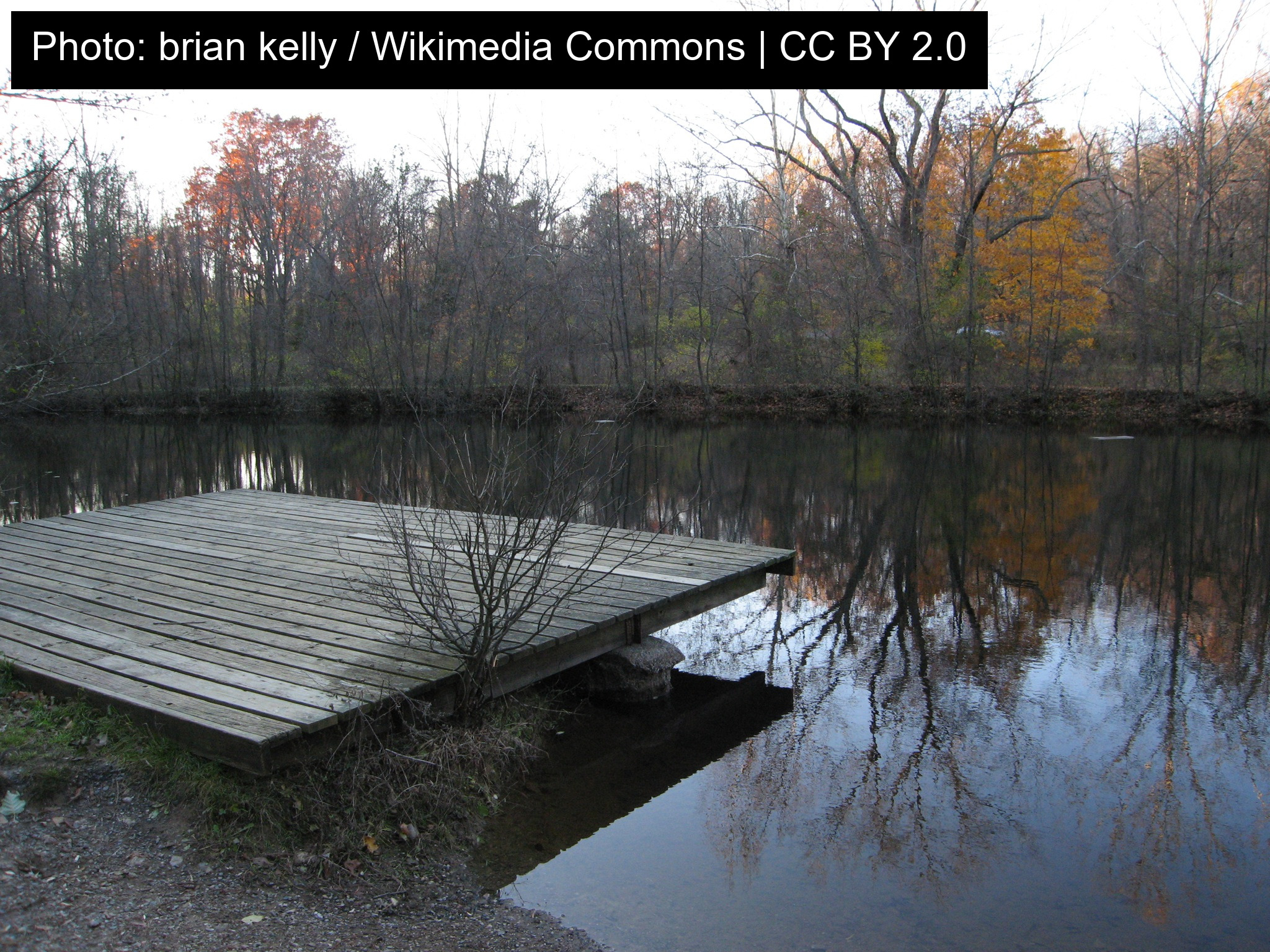 Nolde Forest Environmental Education Center