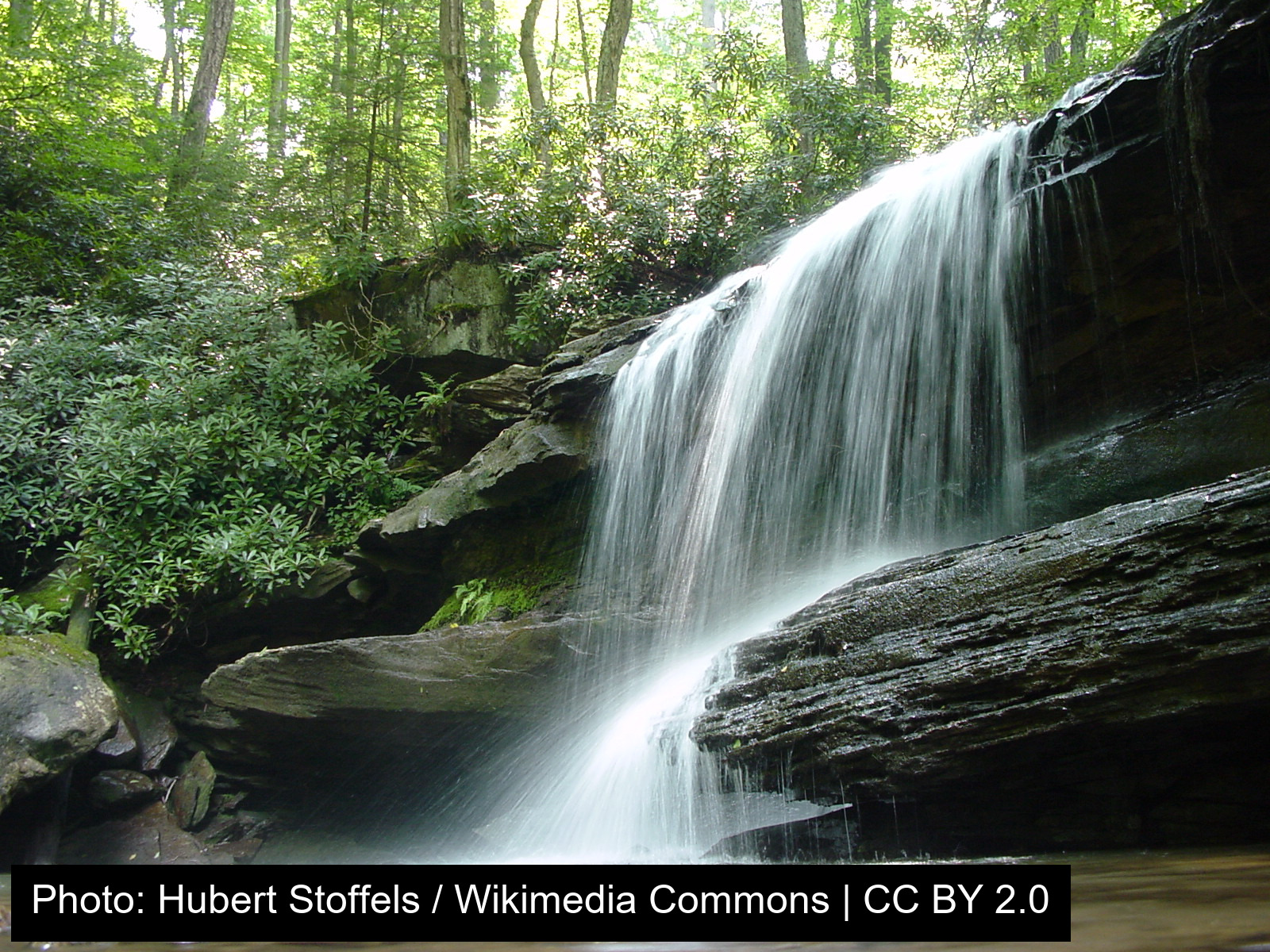 Ohiopyle State Park