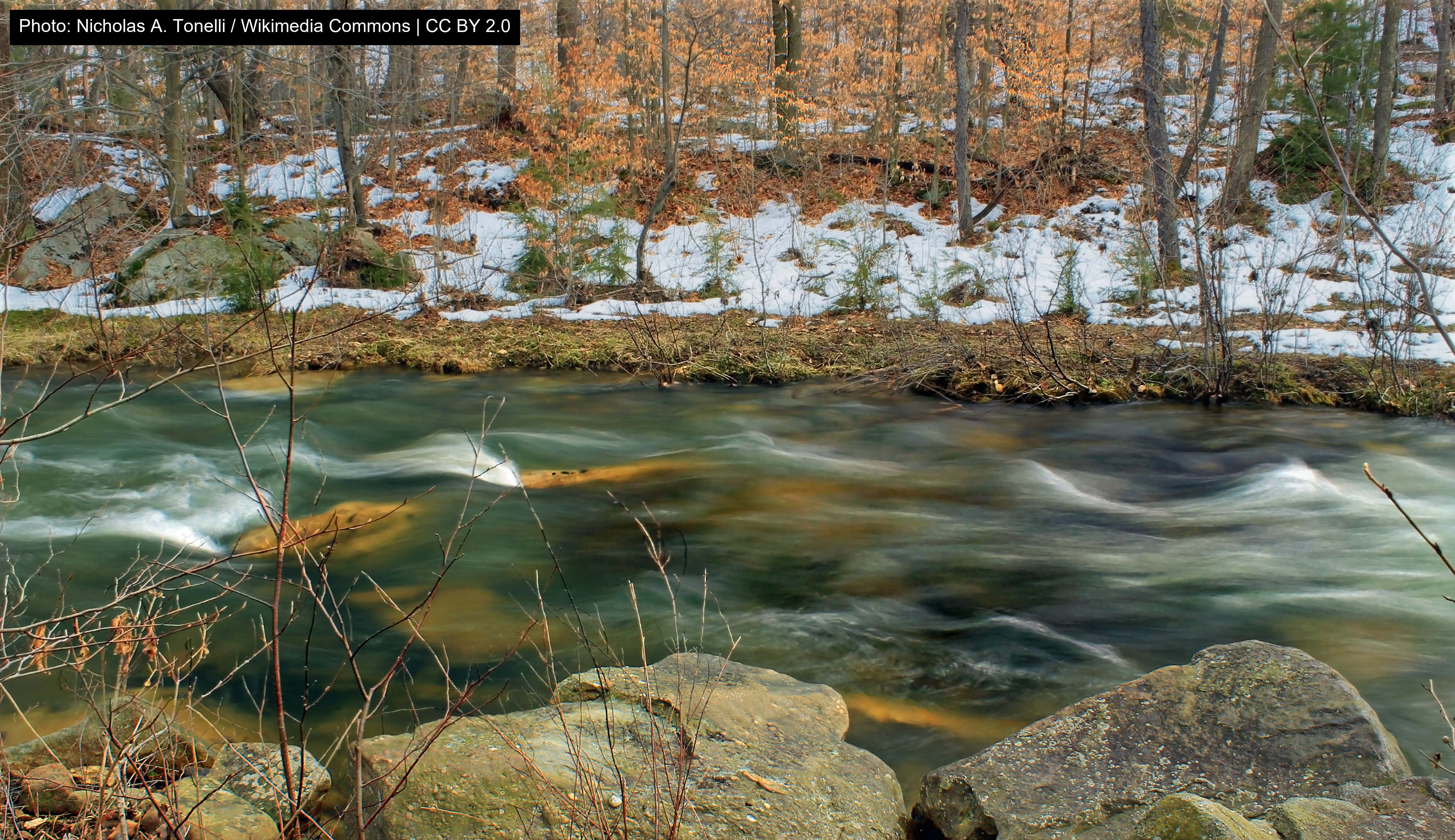 Parker Dam State Park