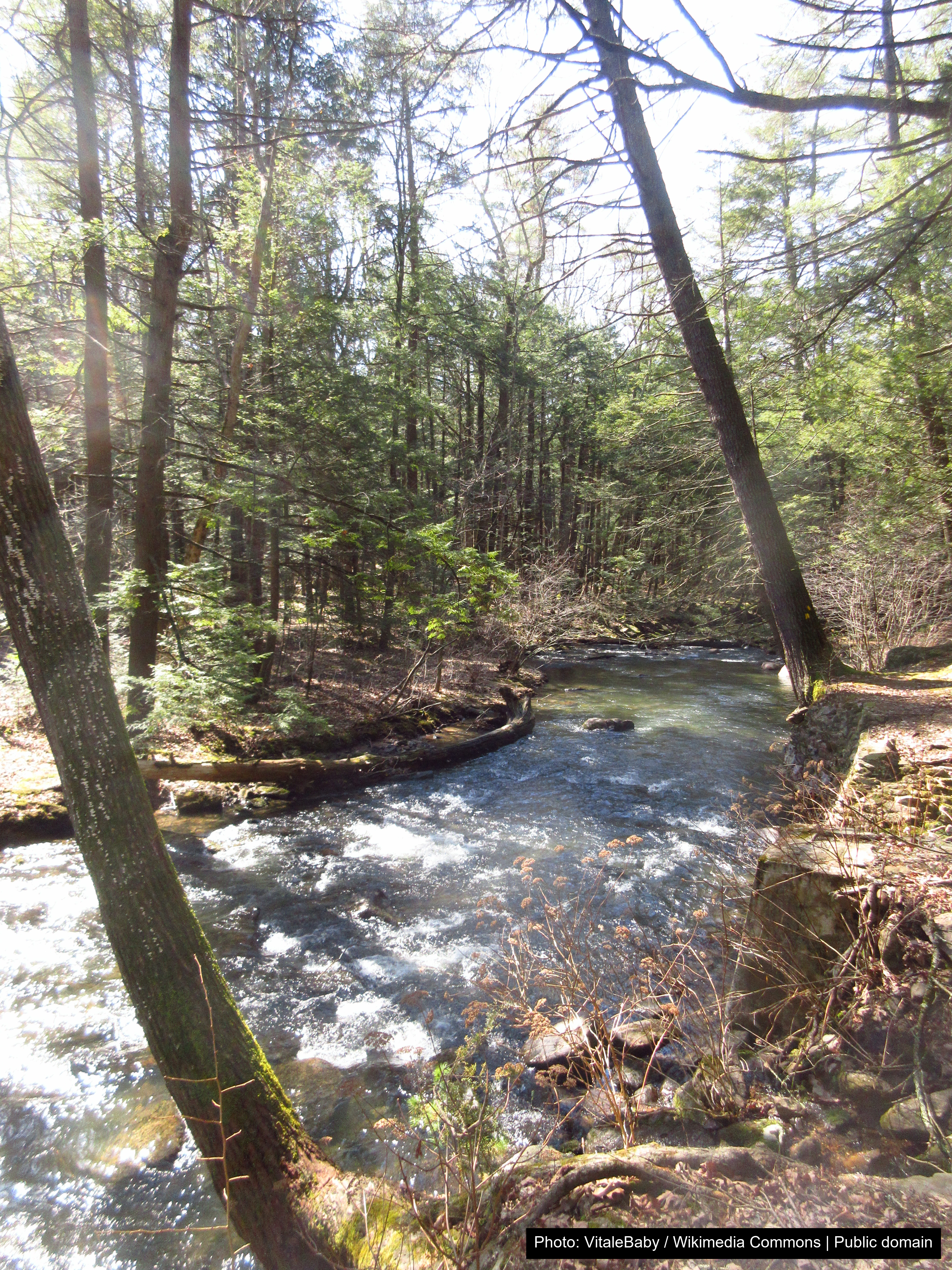 Reeds Gap State Park