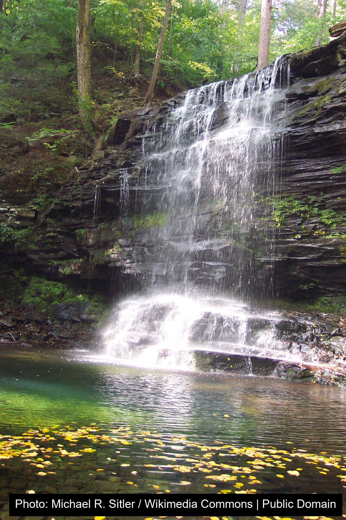 Ricketts Glen State Park
