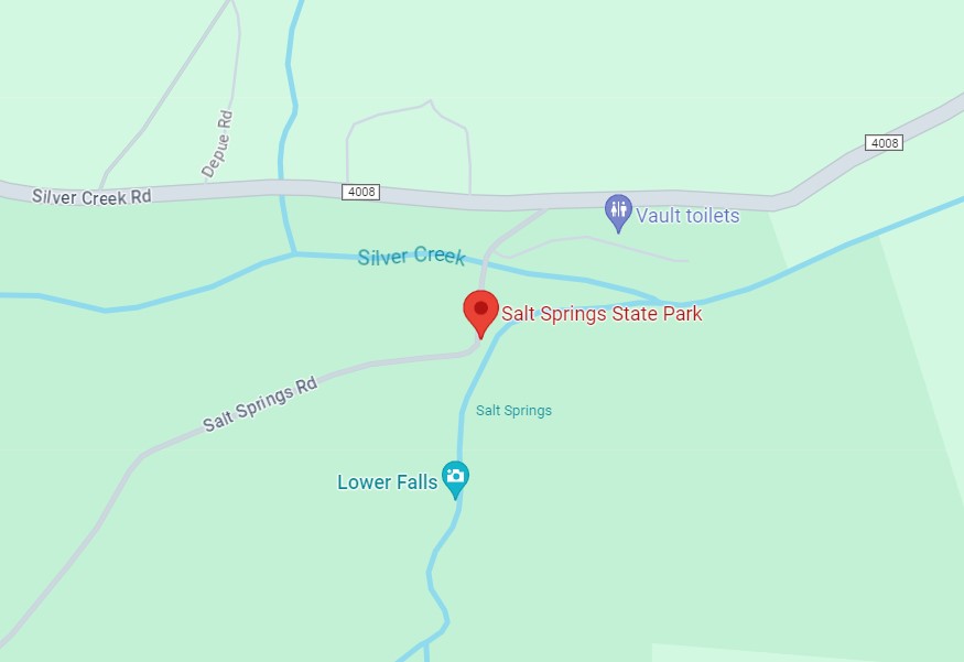 Salt Springs State Park