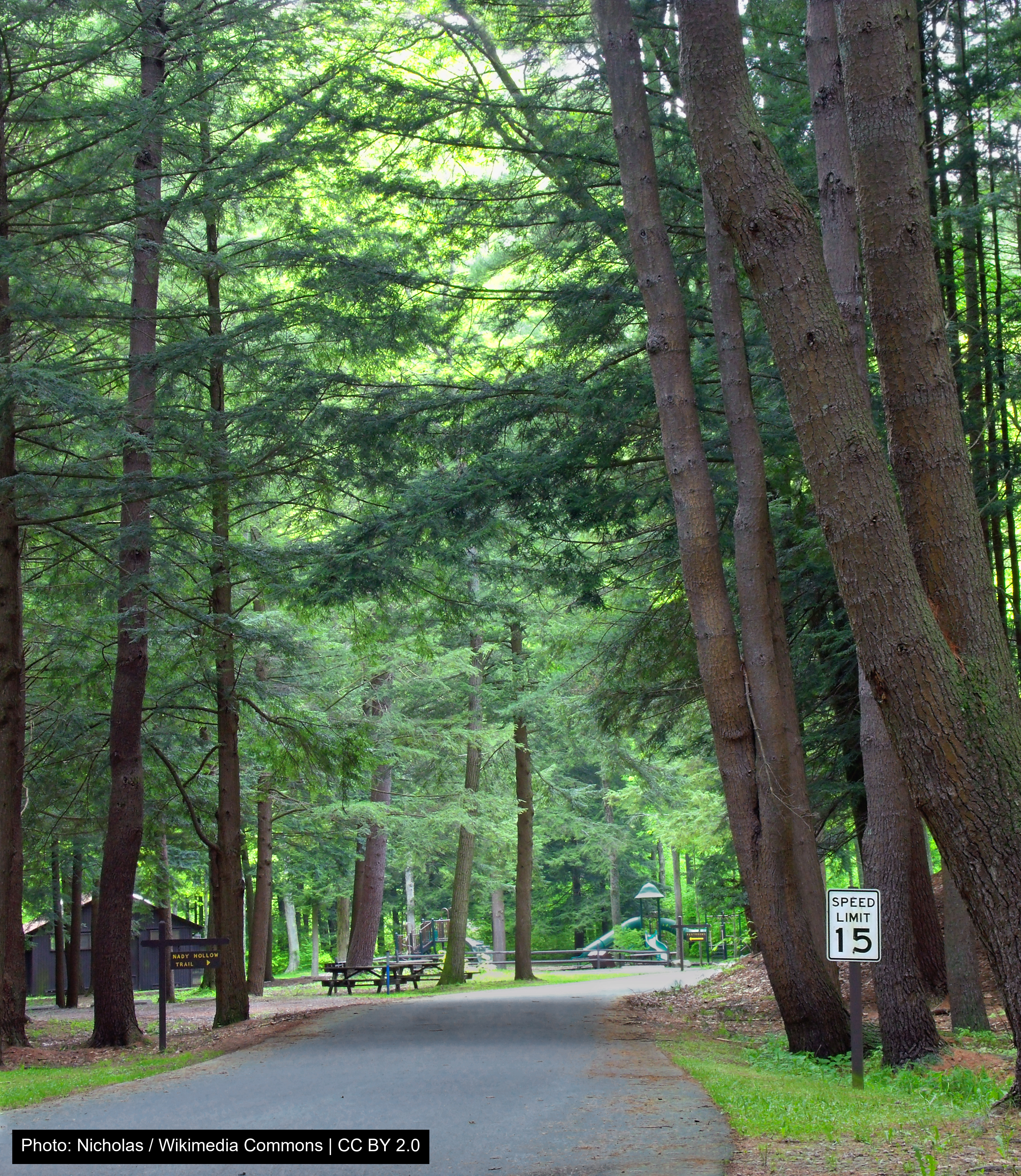Sizerville State Park