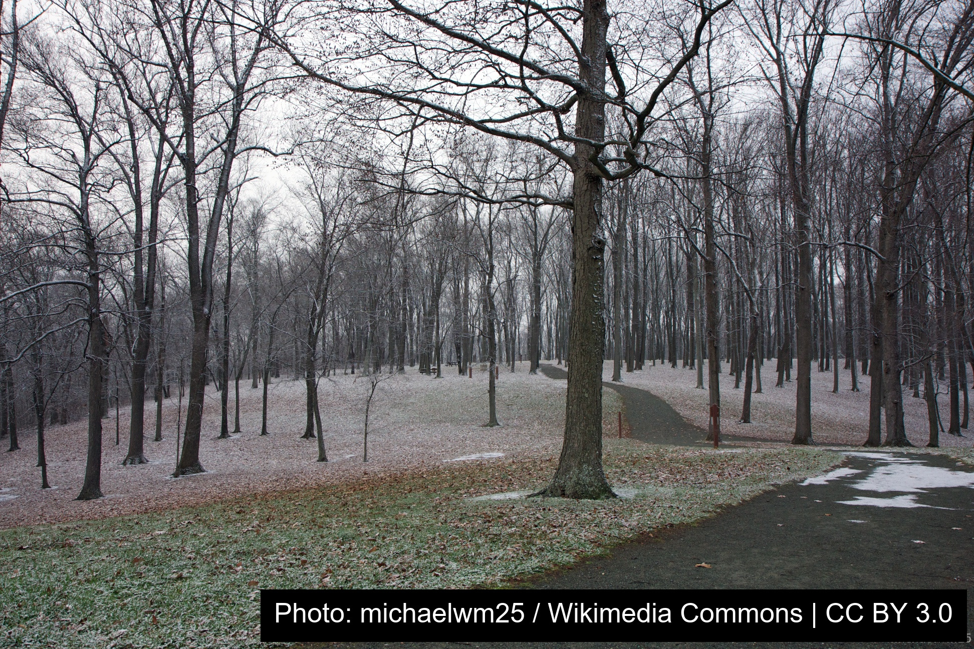 Susquehannock State Park
