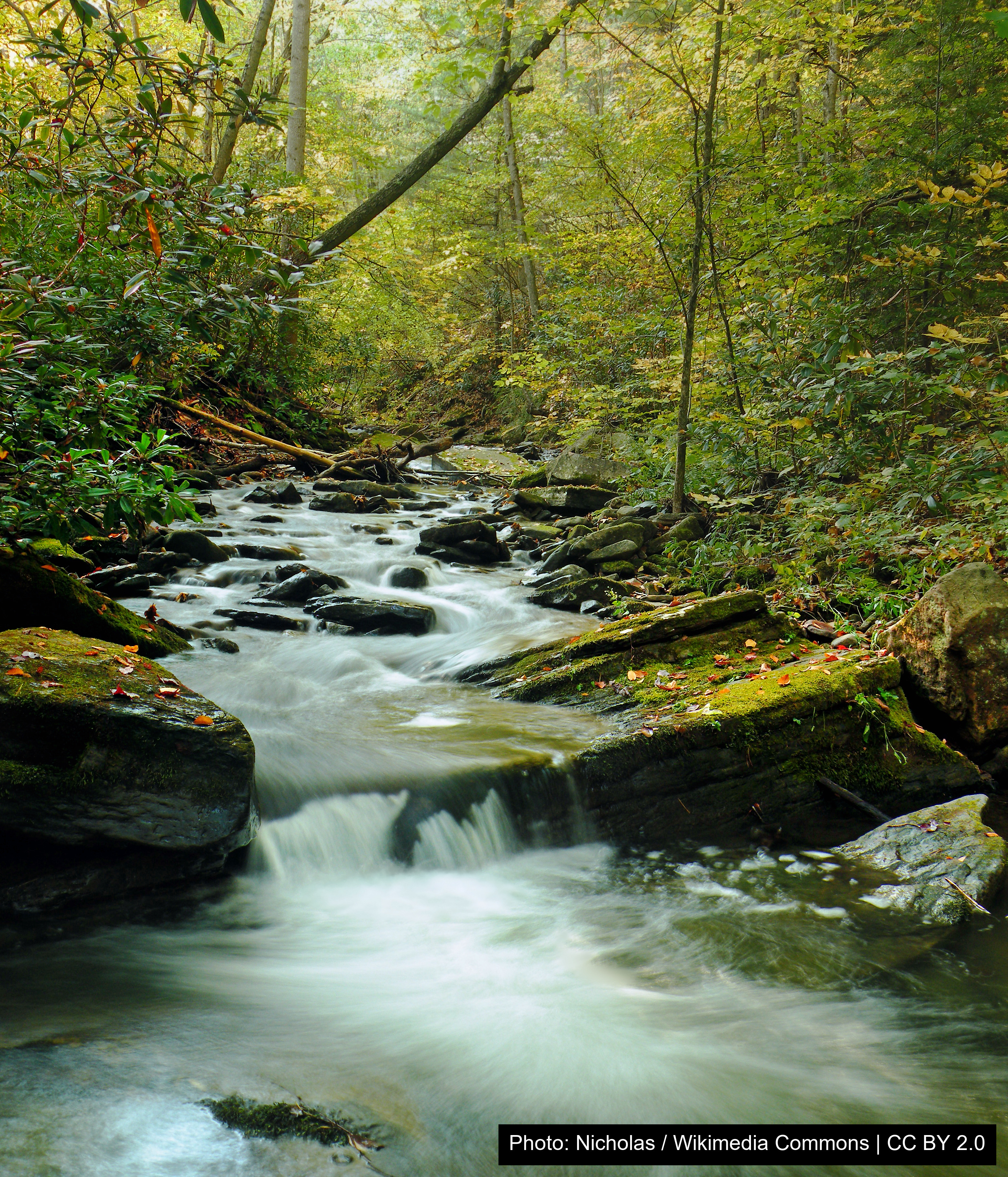 Upper Pine Bottom State Park