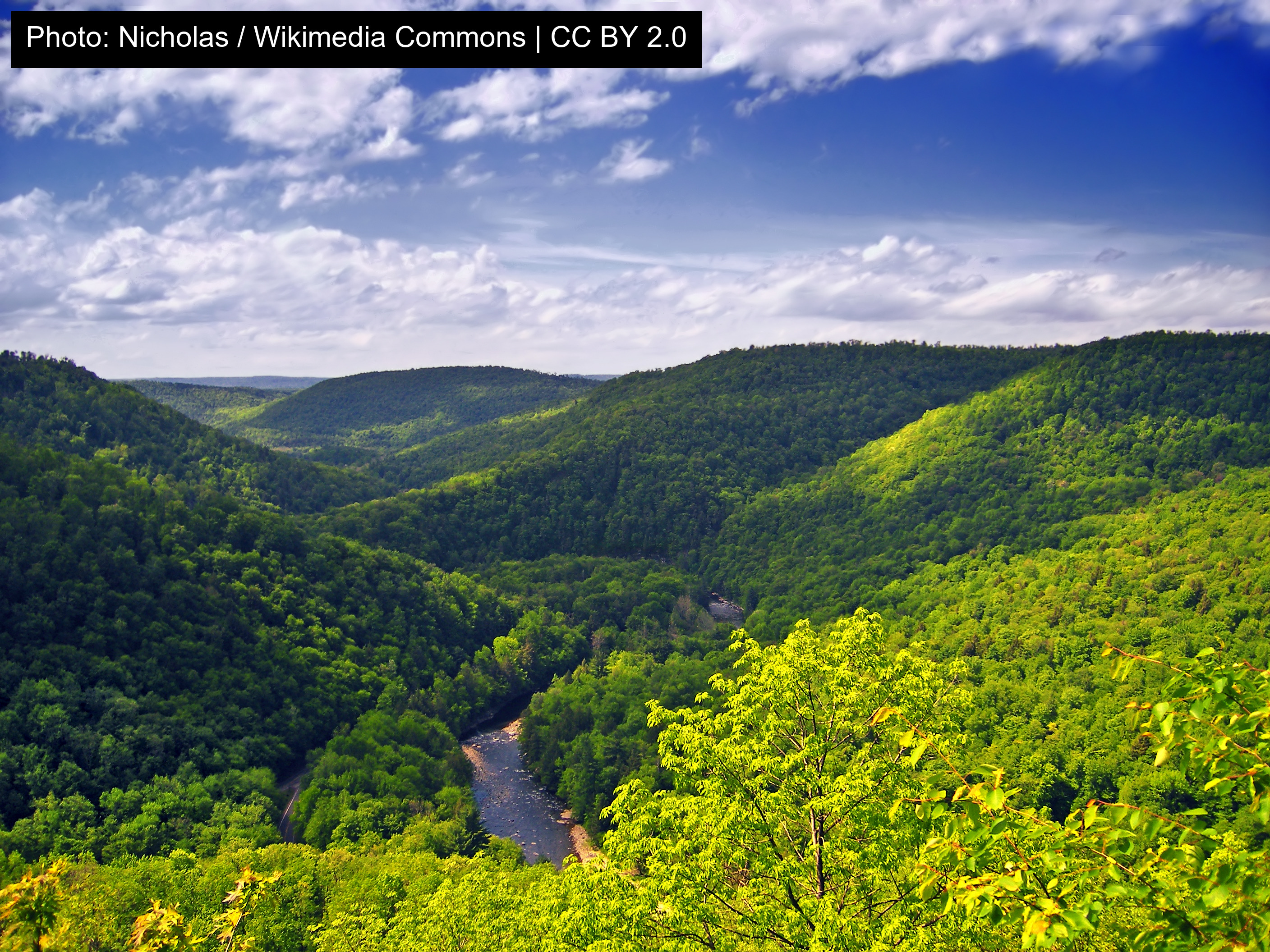 Worlds End State Park